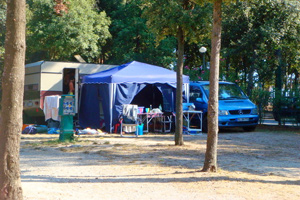 Camp Biograd - camping pitches