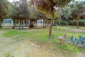 Camp Biograd camp pitches